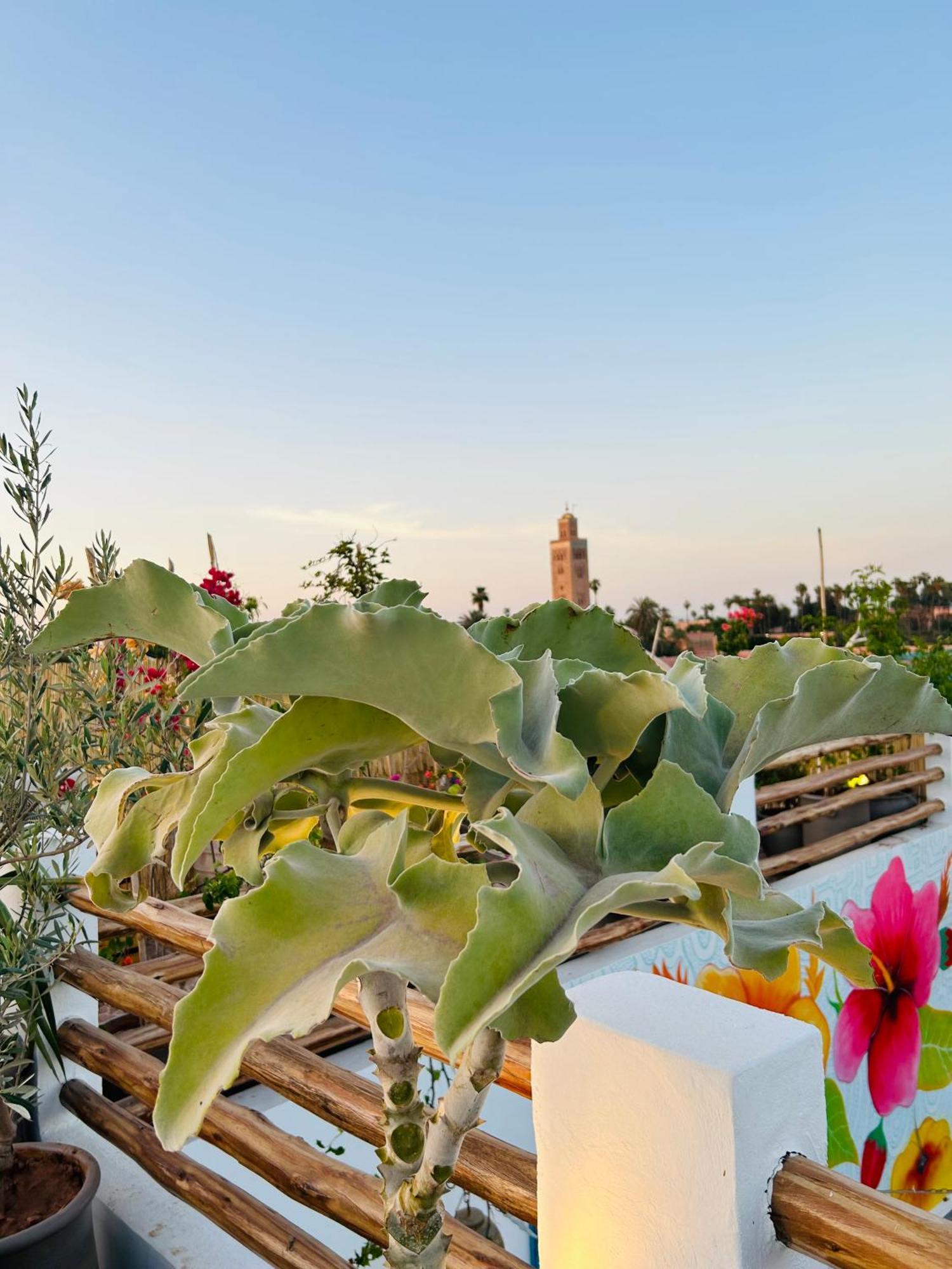 Riad Tsar Mimoun Marakéš Exteriér fotografie